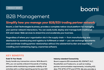 Boomi B2B Management