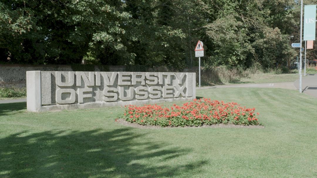 University of Sussex Reimagines Its Virtual Learning Environment