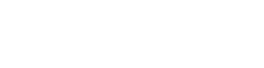 Case study: Schenck-Process